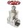 Dixon SSGV200 Stainless Steel 316 Gate Valve, 2" NPT Female