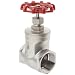 Dixon SSGV200 Stainless Steel 316 Gate Valve, 2" NPT Female