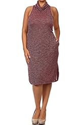 Plus Size Polyester/Rayon/Spandex/Knit Turtleneck Two-Toned  Dress