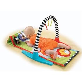 Fisher-Price Zoo Friends Musical Gym