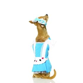 Sexy Alice In Wonderland Pet Dog/Cat Halloween Costume