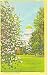 State Capitol Sacramento California Postcard