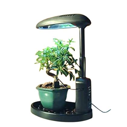 desktop grow light