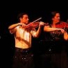 Image of Gaia Consort
