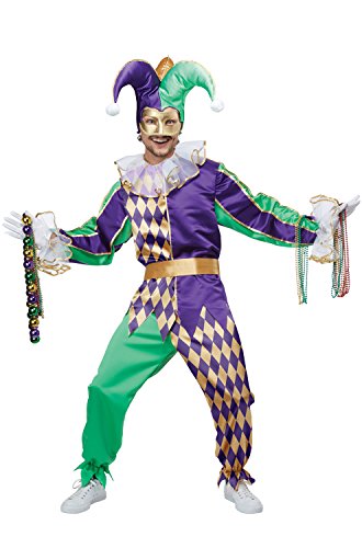 California CostumesMen's Mardi Gras Jester