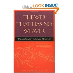 The Web That Has No Weaver