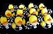 Sporting Goods : One Dozen (12) Black & Silver Rubber Ducky CHEERLEADER Cheerleading Cheer Party Favors