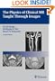 The Physics of Clinical MR Taught Through Images