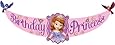Hallmark - Disney Junior Sofia the First Birthday Princess Banner, Purple
