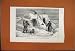 Search Jeannette House Russian Exile Siberia Dog 1882