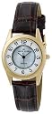 AK Anne Klein Women's Gold-Tone Easy to Read Instalite Watch with a Brown Leather Strap #10-7908MPBI