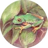 Set of Four Tree Frog Thirstystone Coasters - Style TS2039