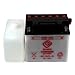 Chrome Battery