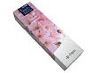 Kunjudo - Hana Kaori Sakura Cherry Blossom Long Sticks