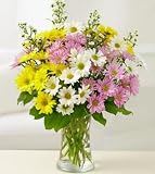 Same Day Flower Delivery One Dozen Daisies Arranged in a Vase