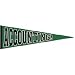 Accounting Pennant