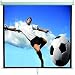 Leinwand HOLLYWOOD 'WLM-40' 4:3, 200x150cm, manuell, Sichtdicht, R�ckseite 95% abgedunkelt