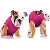 Dog Diaper Keeper - Created By A Veterinarian Specifically to Fit Your Dog - Will Not Fall Off - Sizes: S - XLL (L, Pink)