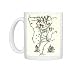 South America, from a 16th century map Photo Mugs