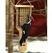 Double Cake Pileated Suet Feeder 9inch x 3inch x 21-1/2inch high