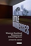 Little madnesses : Winnicott, transitional phenomena and cultural experience