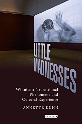 Little Madnesses: Winnicott, Transitional Phenomena and Cultural Experience (International Library of Cultural Studies)