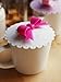 Silicone Watertight Cup Mug Lid Cover Cap leak proof leakproof Set selection 4pcs (Bow)