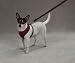 Casual Canine Mesh Harness Lrg Red