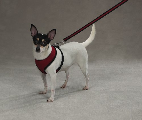 Casual Canine Mesh Harness Med Red