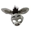 Animal Donkey
