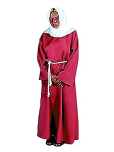 Alexanders Costumes Biblical Peasant Lady, Burgundy, One Size