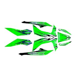 41uFZGFhLeL._SL500_AA300_.jpg