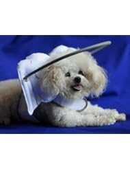 Pet Products: Muffins Halo Guide for Blind Dogs (Large) - Muffin's Blind Dog Clubhouse