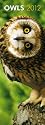 Owls 2012