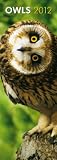 Owls 2012 Slimline Calendar
