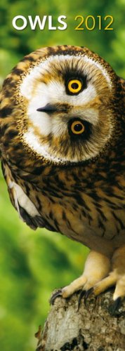 Owls 2012 Slimline Calendar