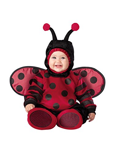 InCharacter Costumes Baby's Itty Bitty Lady Bug Costume, Red/Black, Large