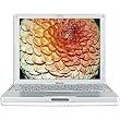 Apple iBook G4, 1.33 GHz, 768MB RAM, 40 GB Hard Drive, Internal Combo Drive, 56k Modem