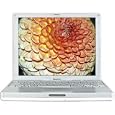 Apple iBook 768MB Drive Internal