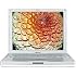 Apple iBook G4, 1.33 GHz, 768MB RAM, 40 GB Hard Drive, Internal Combo Drive, 56k Modem