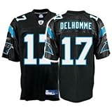 Jake Delhomme Carolina Panthers Replica NFL Adult Team Color Jersey - L