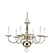 Sea Gull Lighting 3411-02 Traditional Six-Light Chandelier, Brass Finish
