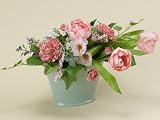 �a�����v���[���g�ɂ������߁I/�V���N�t�����[�i���ԁj/�|�b�g�A�����W�����g/�`���[���b�v