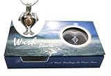 Great Day Gift Genuine Wish Pearl Twin Dolphins Cage & Necklace 18k Gp