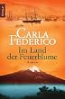 Im Land der Feuerblume
