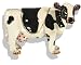 Hidden Treasures Friesian Cow Enamel Box & Pendant.