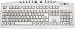 Keyboard with Keys-U-Can See, Black Print on Ivory Keys