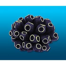 Nature's Image Artificial Corals: Tunicate Cluster by 