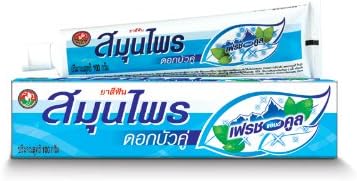 Twin Lotus Herbal Toothpaste Fresh &amp; Cool,100g