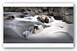 Dreamer of Pictures by William Vanscoy 20"x38" Art Print Poster